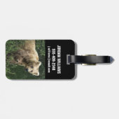 最も可愛い赤ん坊の動物 Bear Mama Bear & Her Cubs | Bear ラゲッジタグ (裏面横)