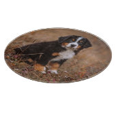 最も可愛い赤ん坊の動物 | Bernese Mountain Dog カッティングボード (角)
