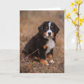 最も可愛い赤ん坊の動物 | Bernese Mountain Dog カード (黄色い花)