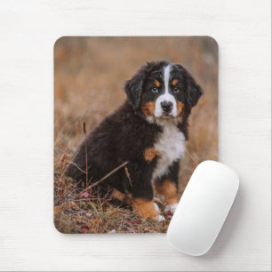 最も可愛い赤ん坊の動物 Bernese Mountain Dog マウスパッド