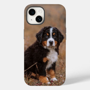 最も可愛い赤ん坊の動物 Bernese Mountain Dog Case-Mate iPhone 14ケース