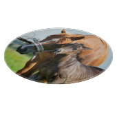 最も可愛い赤ん坊の動物 | Black Foal with Mom カッティングボード (角)