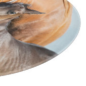 最も可愛い赤ん坊の動物 | Black Foal with Mom カッティングボード (角)