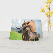 最も可愛い赤ん坊の動物 | Black Foal with Mom カード (黄色い花)