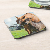 最も可愛い赤ん坊の動物 | Black Foal with Mom コースター (左側)