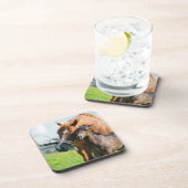 最も可愛い赤ん坊の動物 | Black Foal with Mom コースター (右側)