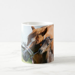 最も可愛い赤ん坊の動物 Black Foal with Mom コーヒーマグカップ