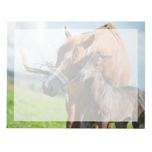 最も可愛い赤ん坊の動物 | Black Foal with Mom ノートパッド (正面)