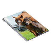 最も可愛い赤ん坊の動物 | Black Foal with Mom ノートブック (右側)