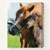 最も可愛い赤ん坊の動物 | Black Foal with Mom ノートブック (裏面)