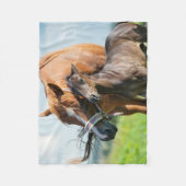 最も可愛い赤ん坊の動物 | Black Foal with Mom フリースブランケット (正面)