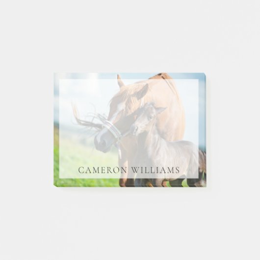 最も可愛い赤ん坊の動物 | Black Foal with Mom ポストイット (正面)