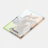 最も可愛い赤ん坊の動物 | Black Foal with Mom ポストイット (アングル)