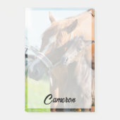 最も可愛い赤ん坊の動物 | Black Foal with Mom ポストイット (正面)