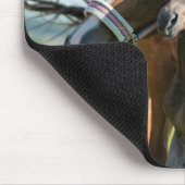 最も可愛い赤ん坊の動物 | Black Foal with Mom マウスパッド (コーナー)