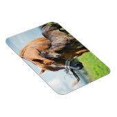 最も可愛い赤ん坊の動物 | Black Foal with Mom マグネット (右側)