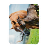 最も可愛い赤ん坊の動物 | Black Foal with Mom マグネット (縦)