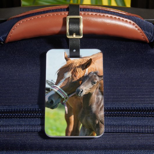 最も可愛い赤ん坊の動物 | Black Foal with Mom ラゲッジタグ (正面インサイチュ2)