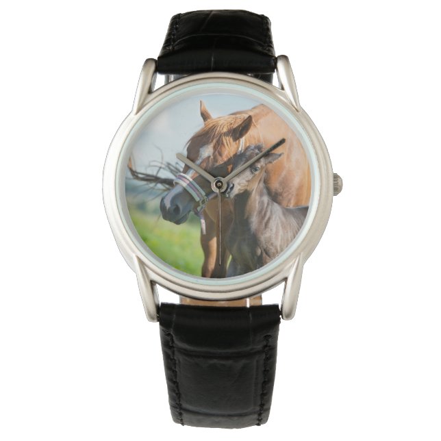 最も可愛い赤ん坊の動物 | Black Foal with Mom 腕時計 (正面)