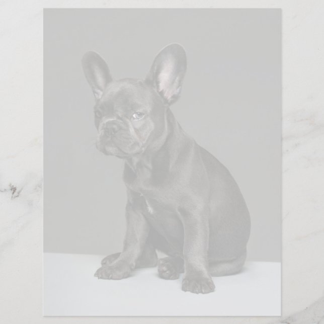 最も可愛い赤ん坊の動物 | Blue フランスの Bulldog Puppy (正面)