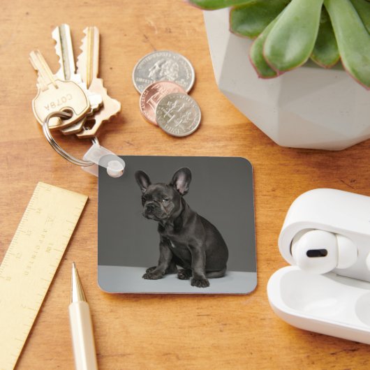 最も可愛い赤ん坊の動物 | Blue フランスの Bulldog Puppy キーホルダー (デスク)