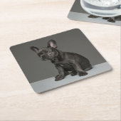 最も可愛い赤ん坊の動物 | Blue フランスの Bulldog Puppy スクエアペーパーコースター (アングル)