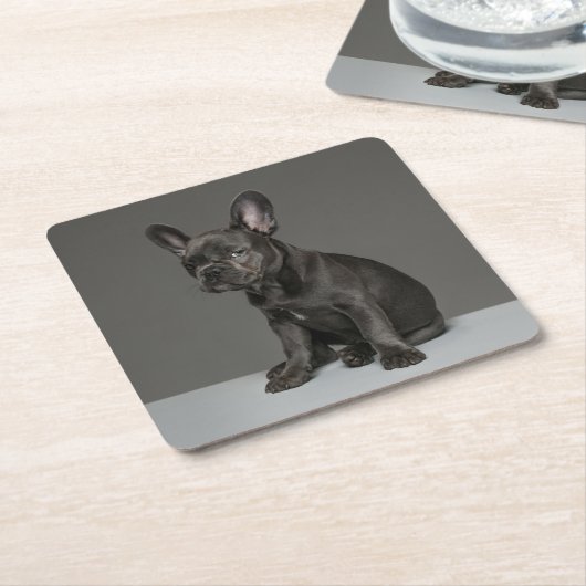 最も可愛い赤ん坊の動物 | Blue フランスの Bulldog Puppy スクエアペーパーコースター (アングル)