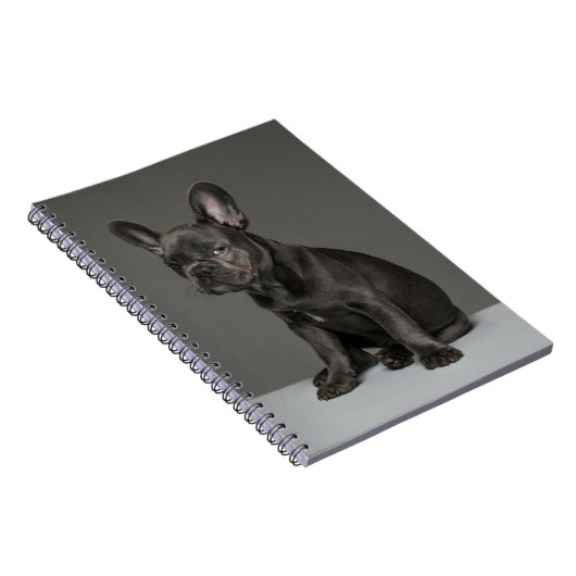 最も可愛い赤ん坊の動物 | Blue フランスの Bulldog Puppy ノートブック (右側)