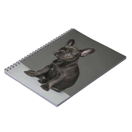 最も可愛い赤ん坊の動物 | Blue フランスの Bulldog Puppy ノートブック (左側)