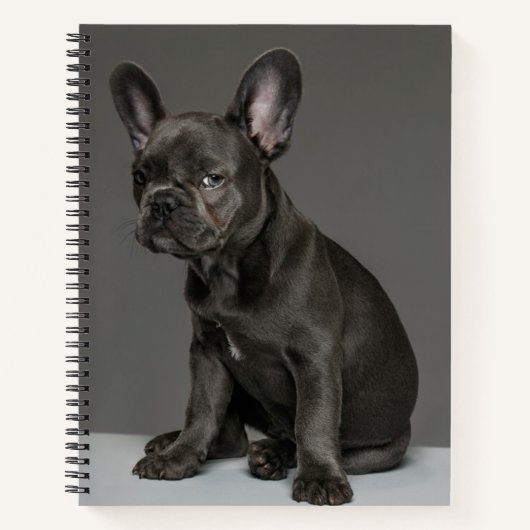 最も可愛い赤ん坊の動物 | Blue フランスの Bulldog Puppy ノートブック (正面)