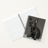 最も可愛い赤ん坊の動物 | Blue フランスの Bulldog Puppy ノートブック (内部)