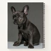 最も可愛い赤ん坊の動物 | Blue フランスの Bulldog Puppy ノートブック (裏面)