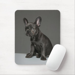 最も可愛い赤ん坊の動物 Blue フランスの Bulldog Puppy マウスパッド