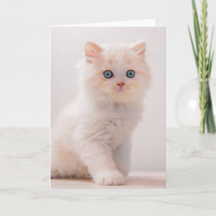 最も可愛い赤ん坊の動物 Blue Eye Kitten カード