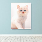 最も可愛い赤ん坊の動物 | Blue Eye Kitten キャンバスプリント (インサイチュ (ウッドフロア))