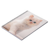 最も可愛い赤ん坊の動物 | Blue Eye Kitten ノートブック (左側)