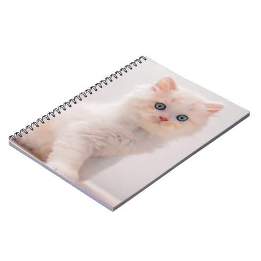 最も可愛い赤ん坊の動物 | Blue Eye Kitten ノートブック (左側)