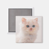 最も可愛い赤ん坊の動物 | Blue Eye Kitten マグネット (正面/裏面)