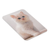 最も可愛い赤ん坊の動物 | Blue Eye Kitten マグネット (右側)