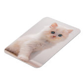 最も可愛い赤ん坊の動物 | Blue Eye Kitten マグネット (左側)