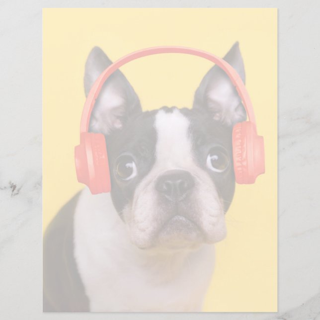 最も可愛い赤ん坊の動物 | Boston Terrier Headphones (正面)