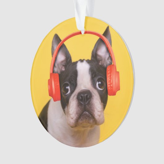最も可愛い赤ん坊の動物 | Boston Terrier Headphones オーナメント (正面)