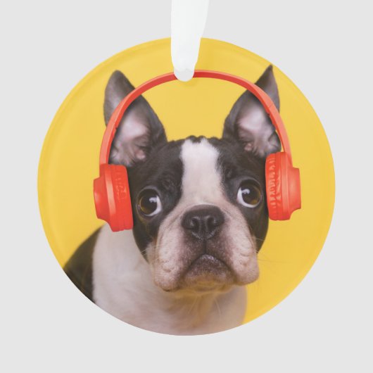 最も可愛い赤ん坊の動物 | Boston Terrier Headphones オーナメント (正面)