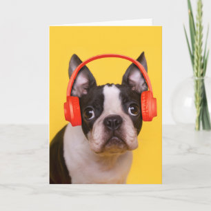 最も可愛い赤ん坊の動物 Boston Terrier Headphones カード
