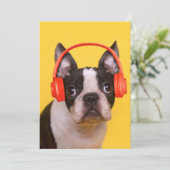 最も可愛い赤ん坊の動物 | Boston Terrier Headphones サンキューカード (スタンド正面)