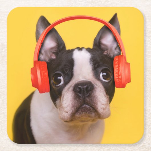 最も可愛い赤ん坊の動物 | Boston Terrier Headphones スクエアペーパーコースター (正面)