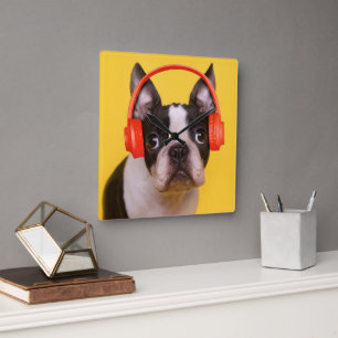 最も可愛い赤ん坊の動物 Boston Terrier Headphones スクエア壁時計