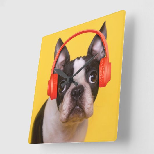 最も可愛い赤ん坊の動物 | Boston Terrier Headphones スクエア壁時計 (傾斜)