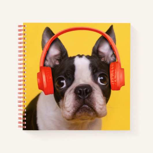最も可愛い赤ん坊の動物 | Boston Terrier Headphones ノートブック (正面)