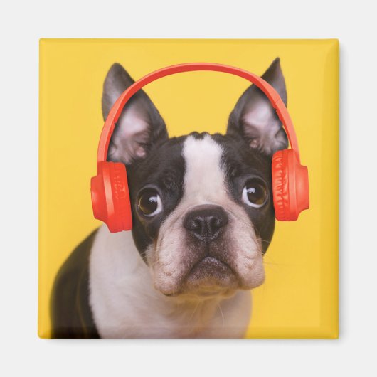 最も可愛い赤ん坊の動物 | Boston Terrier Headphones マグネット (正面)
